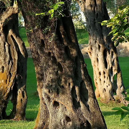 Paradise Corfu فندق