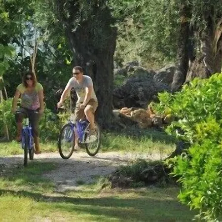 Hotel Paradise Corfu